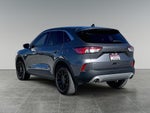 2022 Ford Escape SE Hybrid